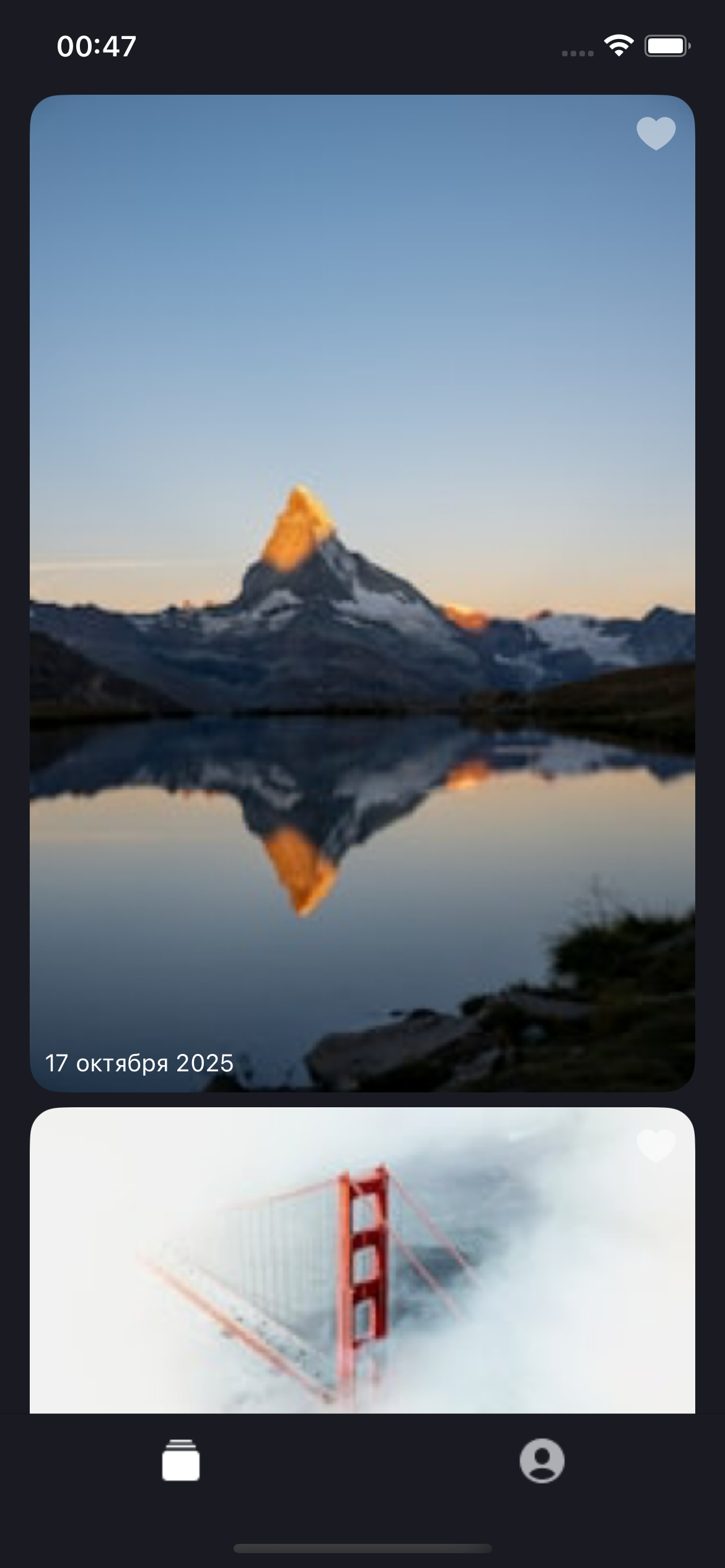 ImageFeed iOS app screenshot 3
