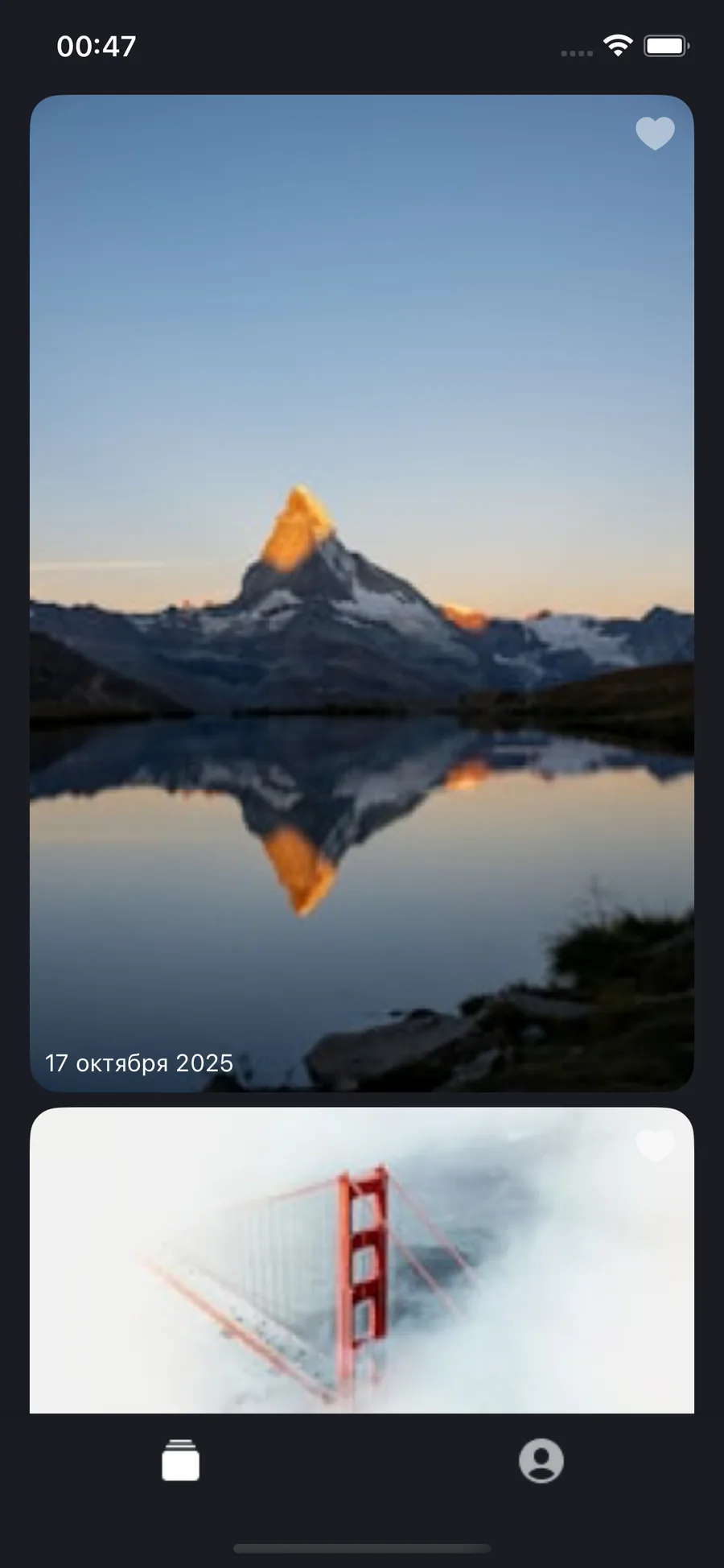 ImageFeed iOS app screenshot 3